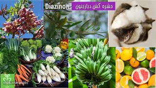 دیازینون، سم قوی برای کنترل طیف وسیعی از آفات جونده  Diazinon [upl. by Helbona]