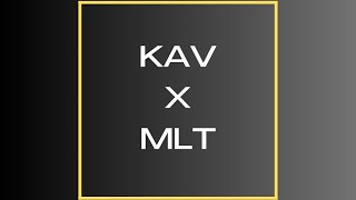 MLT  Flowers Feat KAV Bassline Remix [upl. by Haizek829]