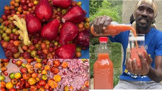 Otaheite Apple Jamaican Apple and cherry Juice To Rejuvenate your body [upl. by Liatnahs453]