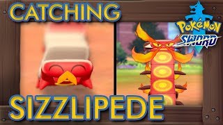 Pokémon Sword amp Shield  How to Get Sizzlipede amp Centiskorch [upl. by Nnaassilem]