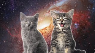 Space Cats — Magic Fly [upl. by Gittle355]