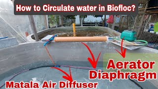 How to Setup Aerator with Diaphragm in Biofloc [upl. by Maxim346]