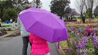 Toowoomba Flower Festival 2024 ഓസ്ട്രേലിയയിലെ മിനി ഊട്ടി toowoombatoowoombaflowerfestival2024 [upl. by Sadie272]