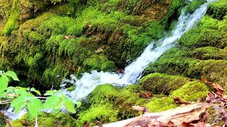 Studenza Karst Spring  Austria [upl. by Carnahan209]