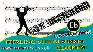 Ehrling Sthlm Sunset Remix  Black Cat  Alto Sax Eb [upl. by Grete]