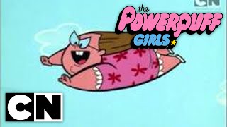 The Powerpuff Girls Classic  Mojo Jonesin Full Episode [upl. by Amsirak]