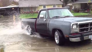 Dodge ram d150 water burnout [upl. by Croydon863]