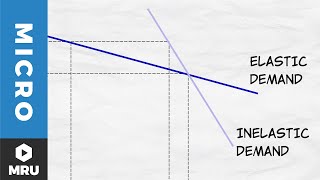 Elasticity of Demand [upl. by Lionello169]