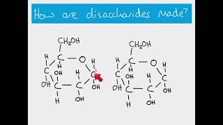 AS Biology  Making and breaking glycosidic bonds [upl. by Clarkson]