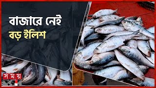 পাইকারি বাজারে সামুদ্রিক মাছের ছড়াছড়ি দাম নাগালের মধ্যে  Fish Market  Ilish Price  Patuakhali [upl. by Maritsa994]