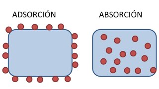 ¿Cuál es la diferencia entre SORCIÓN ABSORCIÓN y ADSORCIÓN [upl. by Gustavus]