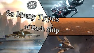 Star Citizen  Why do we Need so Many types of Each Ship [upl. by Zea679]