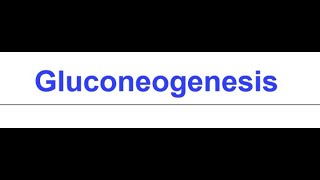 Gluconeogenesis I Formation of glucose from non carbohydrate substrates [upl. by Nivlen639]