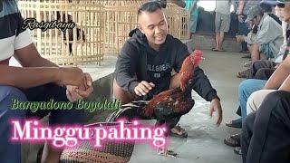 Minggu pahing koleksi pasar pengging Boyolali [upl. by Rich]