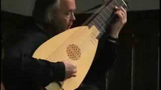 Reusner Paduana in A minor for Baroque Lute [upl. by Aloiv]