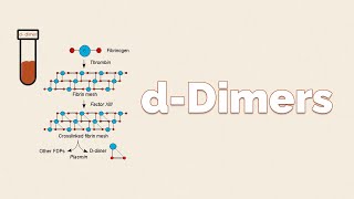 dDimers  What is this test and How to Interpret [upl. by Santa]