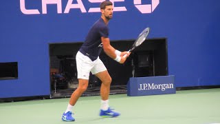 Novak Djokovic Forehand amp Backhand Slow Motion  Court Level View [upl. by Lledra66]