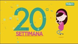 20° settimana di gravidanza [upl. by Naneek]