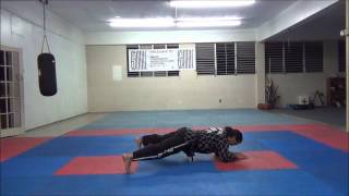 Hapkido Tutorial [upl. by Zoubek]