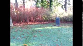 Gorsedd Stone Circle Dolerw Park Newtown [upl. by Lem540]