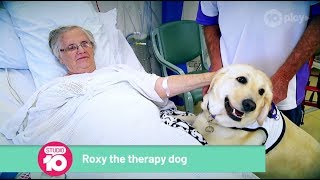 Meet The Therapy God Bringing Joy To Hospital Patients  Studio 10 [upl. by Niemad888]