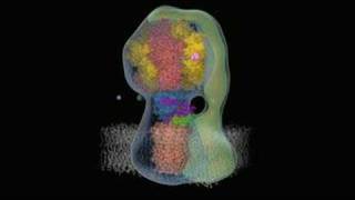 F1 ATP synthase [upl. by Ytomit573]