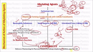 Anticancer Drugs  Alkylating Agents  Alkylating Agents Mechanism of Action as Anticancer Drugs [upl. by Haliak]