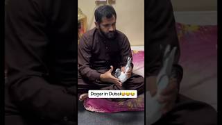 Doger Dubai Kabootar Bazi 🤣😂 viralvideo maandogar kabootar dubai youtubeshorts shorts [upl. by Ynatterb]