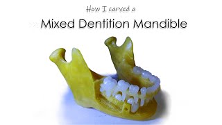 How I carved Mixed Dentition Mandible  ParixArt [upl. by Mina]