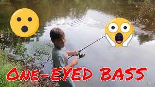 Catching GIANT 1Eyed Bass While Fishing–Unbelievable Catch 😱quotFishing 1EyedBass LegendaryCatches [upl. by Amieva]