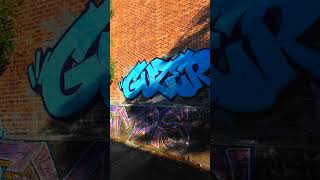 Transforming a Boring Brick Wall graffiti [upl. by Oneil]