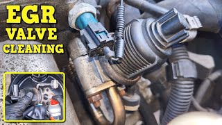 EGR Valve Cleaning  Volkswagen Polo Mark 4 [upl. by Saul]