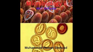 Microbiology ii  Parasitology  Lecture No 3 Malarial parasite Cycle [upl. by Ehrman626]