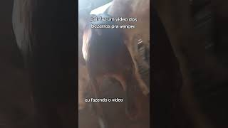 Eu fazendo o vídeo😅 shorts viralvideo [upl. by Yenettirb]