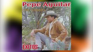 Regalo De Bodas  Pepe Aguilar  Del Álbum Con Tambora Volumen III [upl. by Sigrid847]