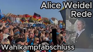 Alice Weidel Rede  AfD Wahlkampfabschluss Erfurt 310824 [upl. by Wasserman407]