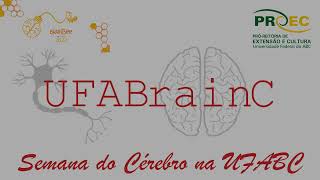 Desenvolvimento do Sistema Nervoso  Neurogênese  Final [upl. by Fidellas844]