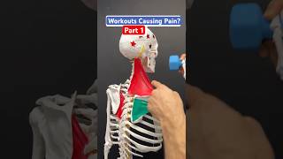 Part 1 of 2 Do workouts cause neck pain headaches or jaw pain neckpain headache tmj [upl. by Elyrehc]