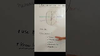 Auscultation of the Heart amp Landmarks anatomyandphysiology nursingskills nursingschool [upl. by Punak]