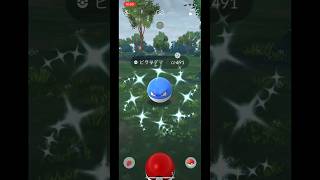 ポケモンGOで色違いビリリダマをゲット！pokemongo pokemon voltorb shiny ポケモンGO ポケモン ビリリダマ 色違い [upl. by Llehcram153]