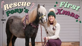 Rescue Ponys First Christmas with a Home Vlogmas in a Day  This Esme [upl. by Dnaleel]