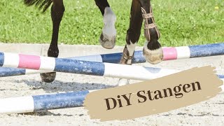 DiY alles für den Reitplatz Cavaletti Stangen  Serenity Horses [upl. by Jerrome]