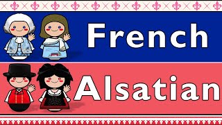 FRANCE FRENCH amp ALSATIAN [upl. by Plossl]