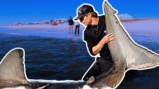 Beach Catch Makes National News 1200 Pounds [upl. by Ettennek]