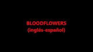 Bloodflowers  The Cure letra ingles  subtítulos en español [upl. by Atteugram411]