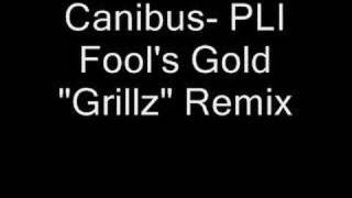 Canibus Poet Laureate Infinity Grillz Remix [upl. by Anaud]