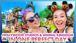 Hollywood Studios and Animal Kingdom in ONE PERFECT DAY  Park Hopping in Disney World [upl. by Sigsmond]