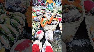 chhath puja song  chhath puja status chhath song shorts shortsfeed ujjain [upl. by Itsyrk]