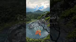 yuotubeshorts quranrecition This Will Change Your Perspective About Quran pak [upl. by Ahsoym]