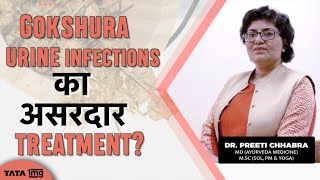 Health benefits of Gokshura  Dr Preeti Chhabra [upl. by Oribel]